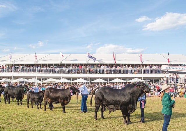 beef week-1