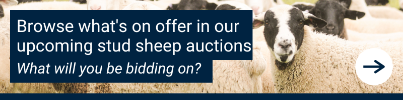New call-to-action